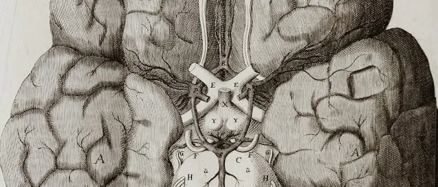 Old engraving of the underside of a human brain with lettered labels, headed Figura I