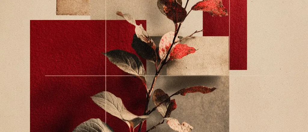 Sprig of leaves, some tinted red, laid over overlapping red and beige paper squares on a light tan ground