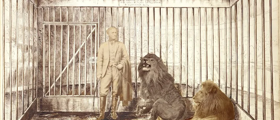 Photocollage of a man in riding boots holding a whip, standing inside a barred cage with two lions, one sitting up and roaring, and two tigers lying on the floor.