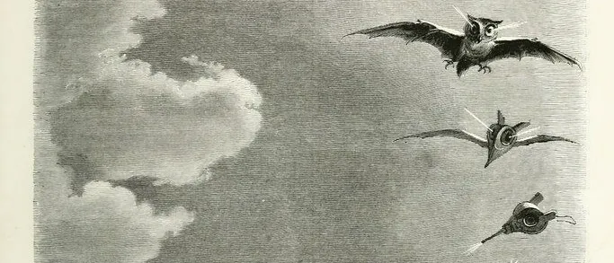 Grandville engraving: a mushroom turns into an umbrella, a bat-winged owl and other flying objects, ending in a chariot of stars in a cloudy sky.